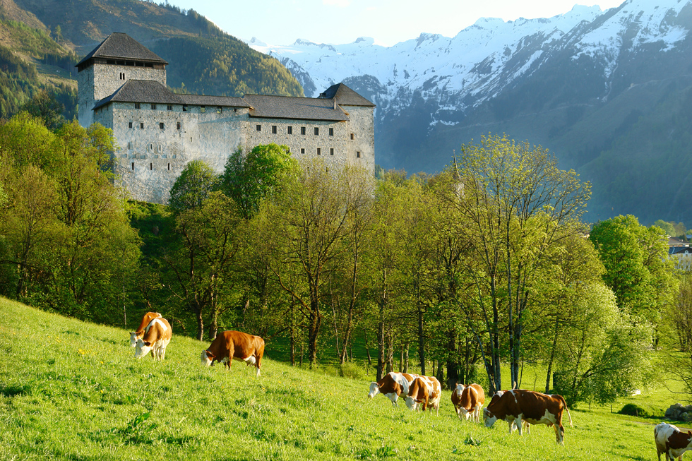 burg-kaprun-sommer.jpg