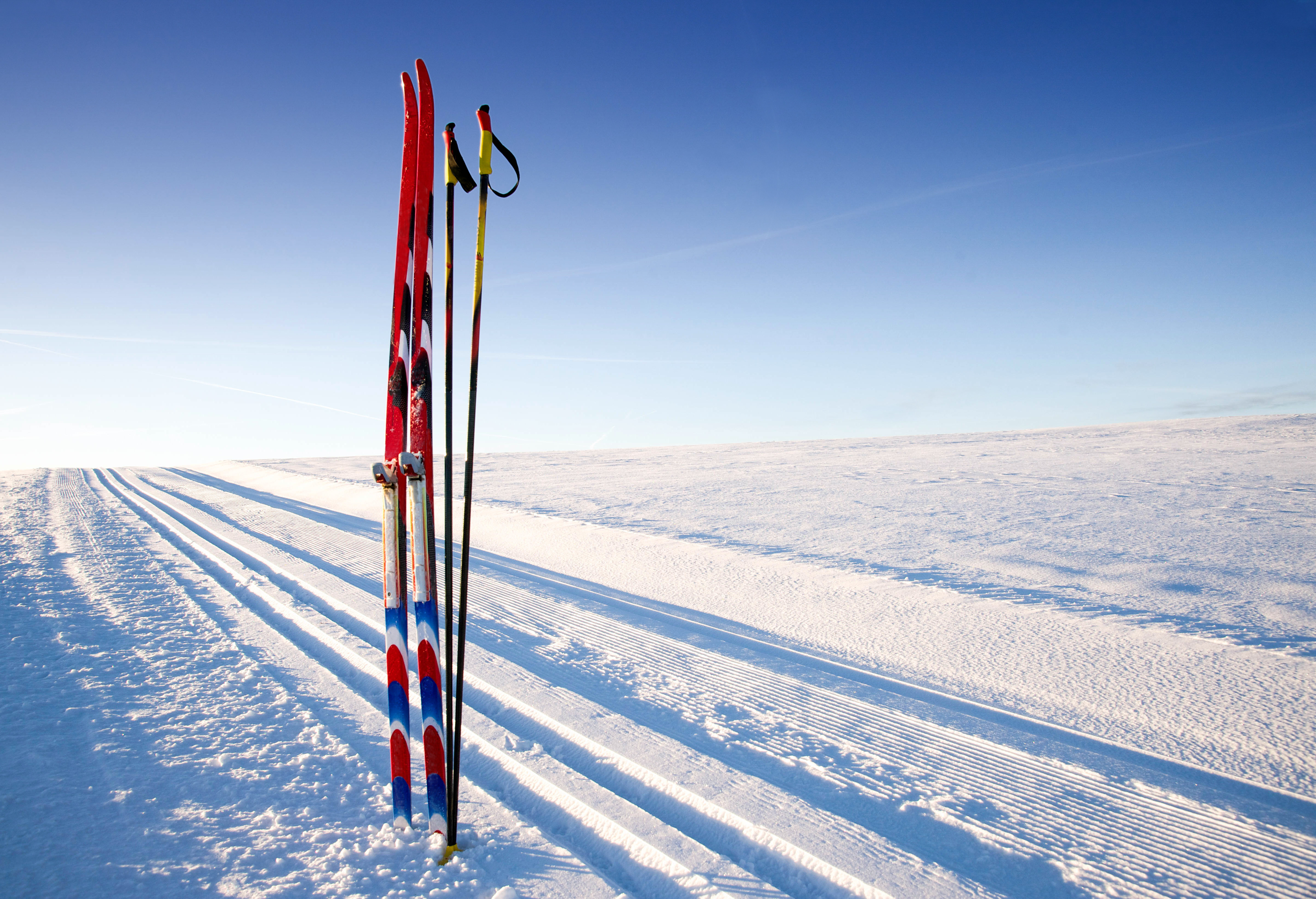 langlaufskier.jpeg